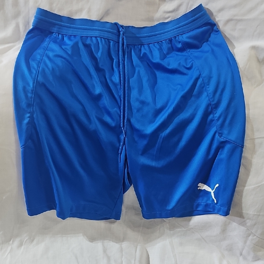 Puma Men's Vibrant Blue Sports Shorts
